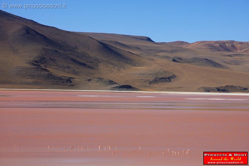 BOLIVIA 2 - Laguna Colorada - 15.jpg